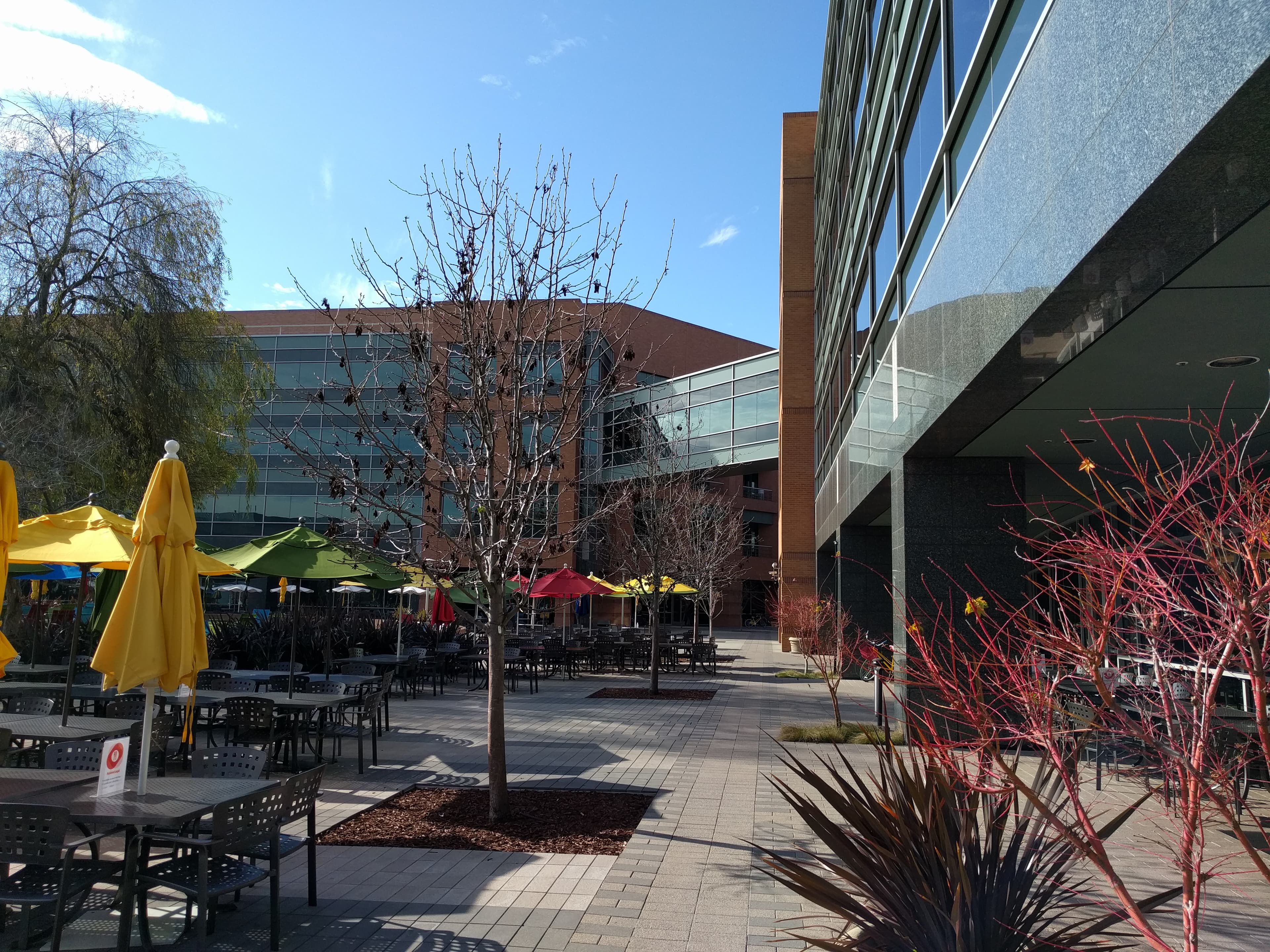 In the lunch line with Larry Page